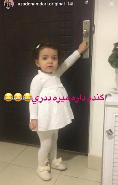 عکس گندم بچه آزاده نامداری