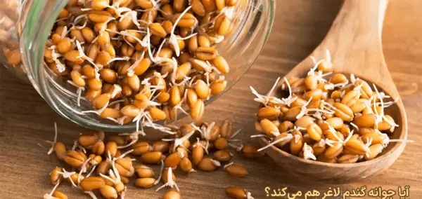 عکس نان جوانه گندم