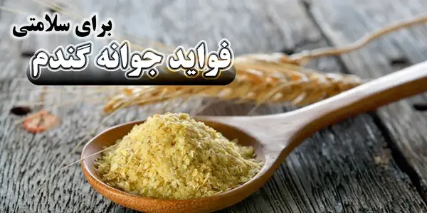 عکس نان جوانه گندم