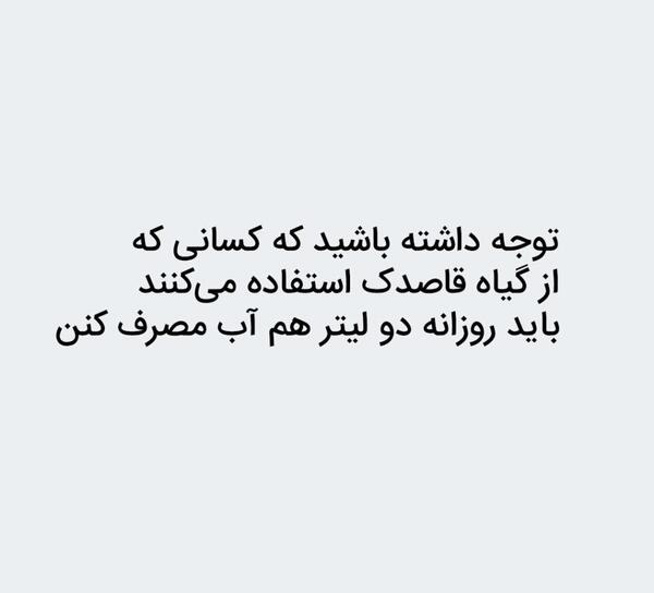 عکس دمنوش گل قاصدک