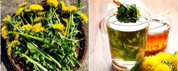 عکس دمنوش گل قاصدک
