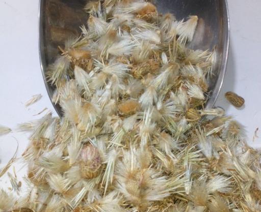 عکس دمنوش گل قاصدک