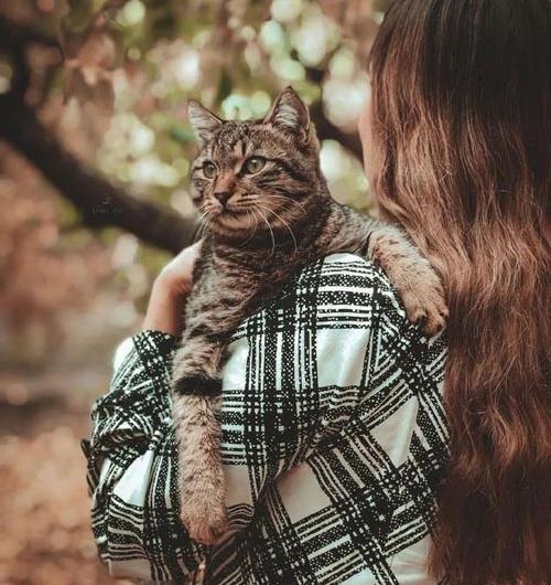 عکس پروفایل دخترونه لاکچری با گربه
