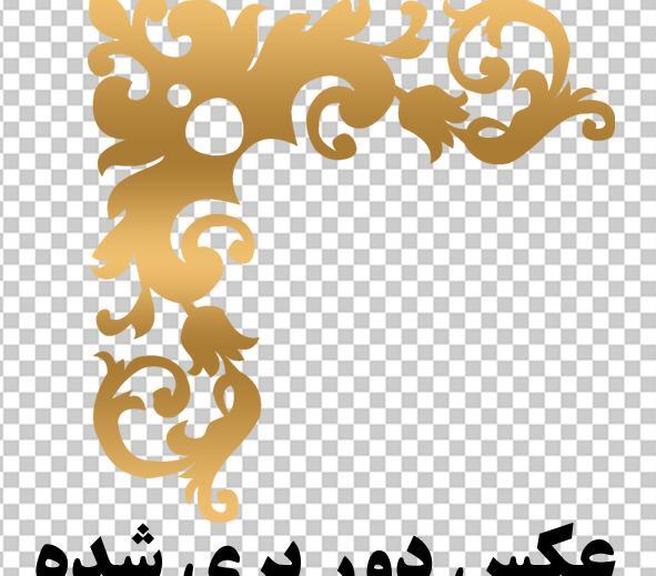 عکس گل حاشیه ای