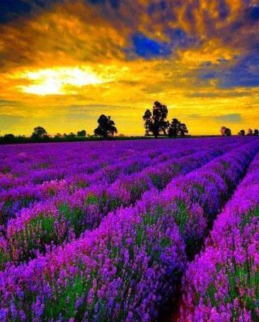 عکس های جالب و شگفت انگیز از طبیعت