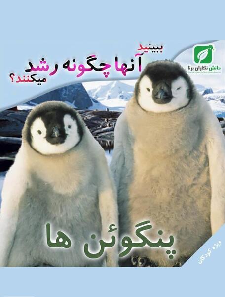 عکس بچه پنگوئن امپراتور