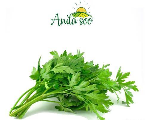 عکس سبزیجات جعفری