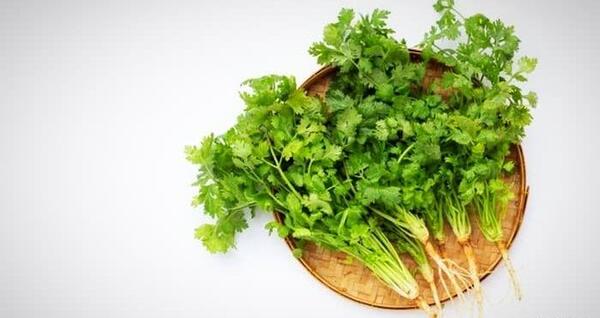 عکس سبزیجات جعفری