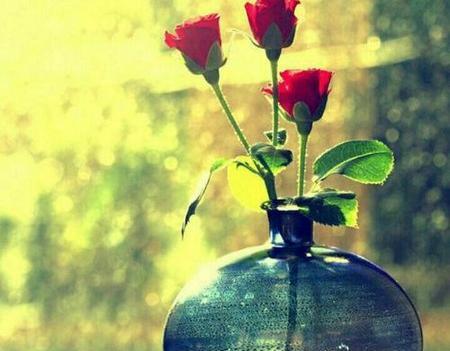 عکس تصویر زمینه موبایل زیبا