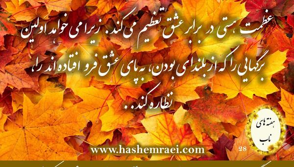 عکس نوشته جنگل