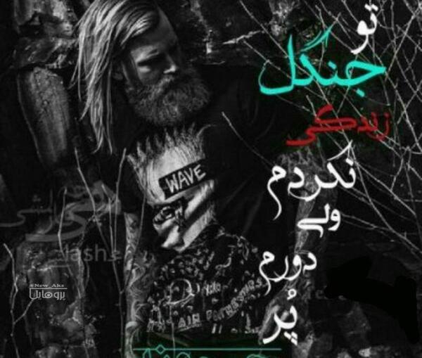 عکس نوشته جنگل