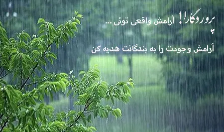 عکس نوشته جنگل
