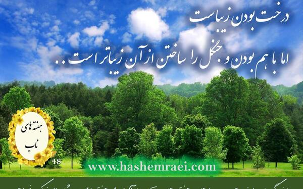 عکس نوشته جنگل