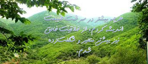 عکس نوشته جنگل