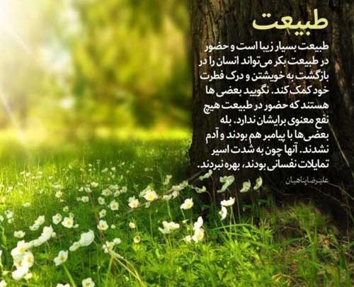 عکس نوشته جنگل