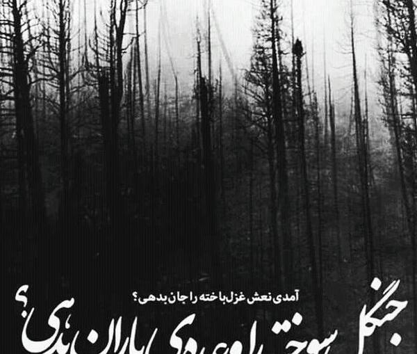 عکس نوشته جنگل