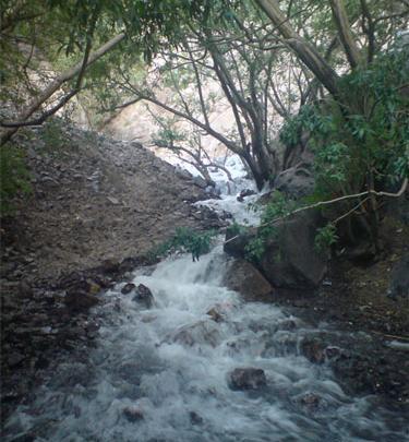 عکس طبیعت کرمان