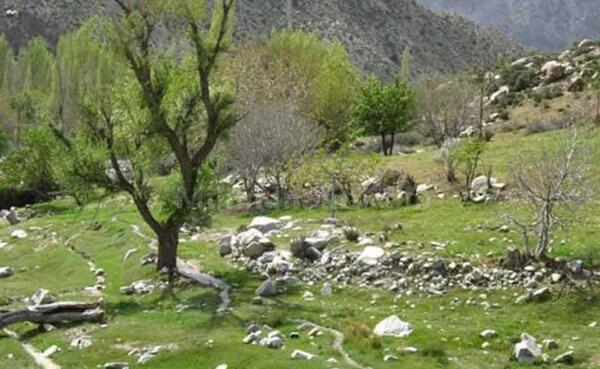 عکس طبیعت کرمان