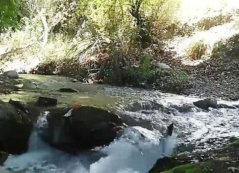 عکس طبیعت کرمان