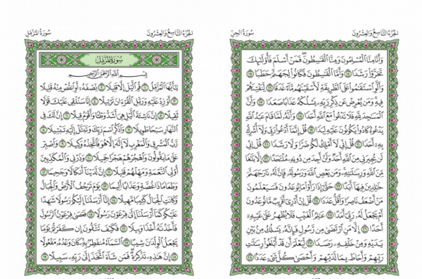 سوره جن+ عکس شبکه قرآن