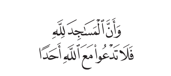 سوره جن+ عکس شبکه قرآن