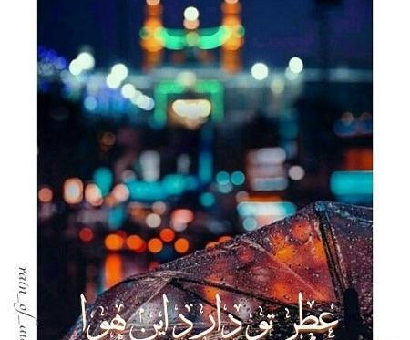 عکس جالب از حرم امام حسین