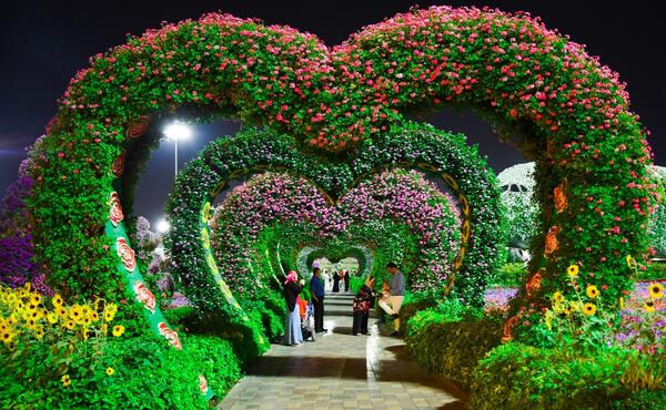 عکس تصویر زمینه قلب بنفش