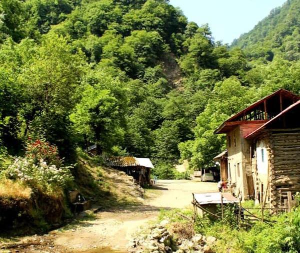 عکس از طبیعت بکر ماسوله