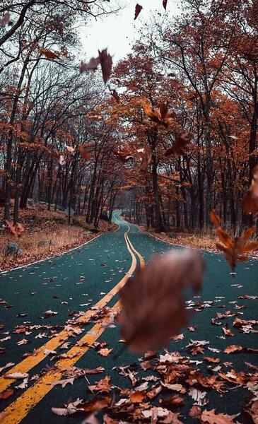 عکس منظره پاییزی برای تصویر زمینه