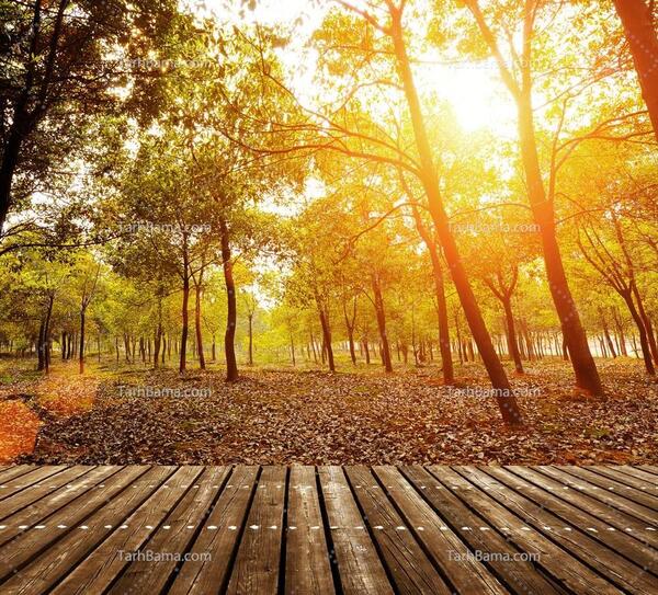 عکس منظره پاییزی برای تصویر زمینه
