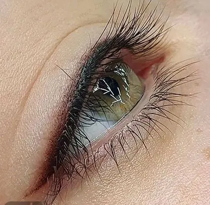 عکس تاتو خط لب قهوه ای