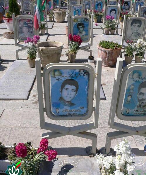عکس گل جوادی