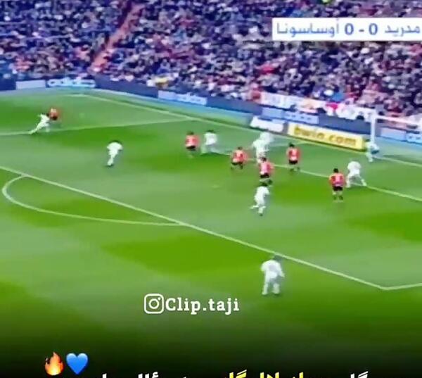 عکس گل جوادی