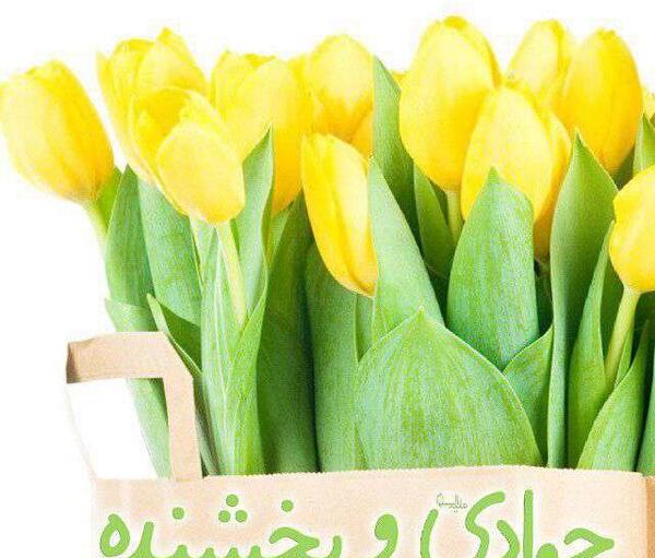 عکس گل جوادی