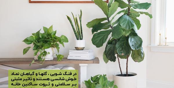 عکس های نماد ثروت