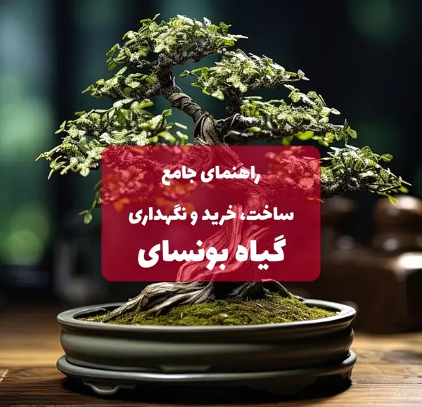 عکس گل یوکا بونسای