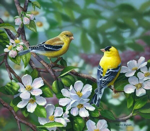 عکس طبیعت نقاشی زیبا