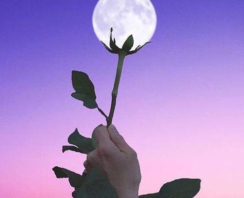عکس جالب و دیدنی برای پروفایل