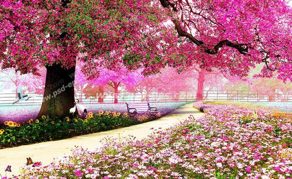 عکس زیبایی های بهار