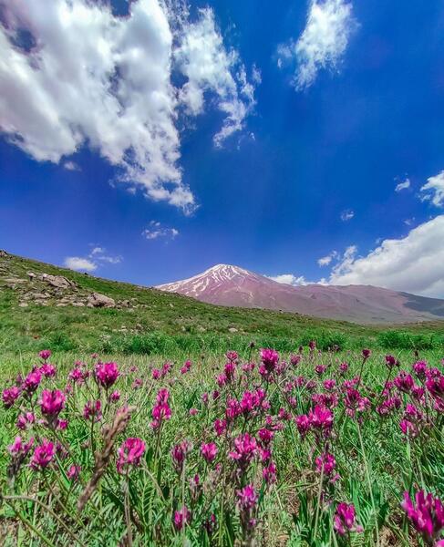 عکس زیبایی های بهار