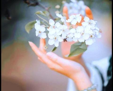 عکس پروفایل گل و دختر فانتزی