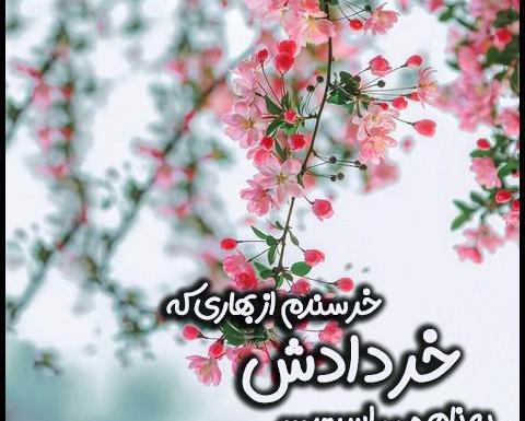 عکس تولد خرداد ماهی خودم
