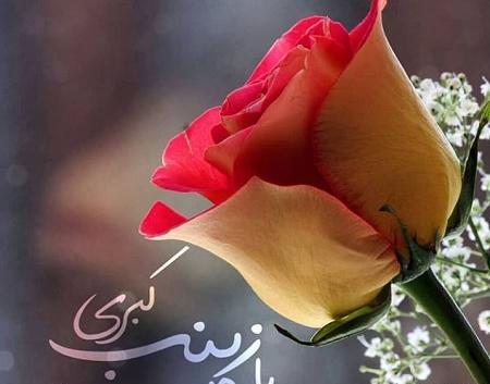 عکس تبریک تولد حضرت زینب و روز پرستار