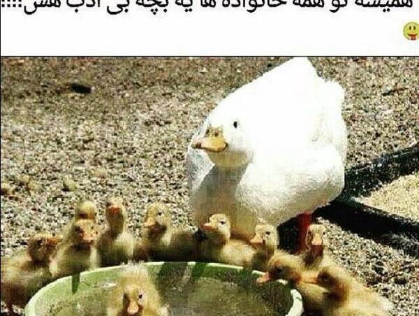 عکس های جالب و خفن