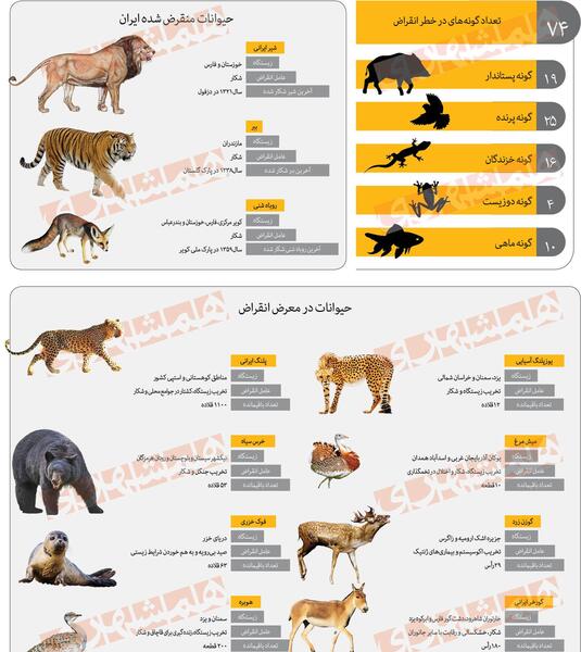 عکس حیوانات کمیاب ایران