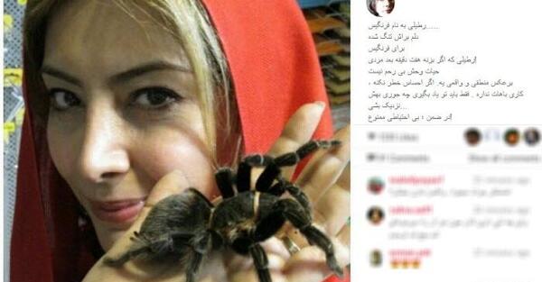عکس حیوانات کمیاب ایران