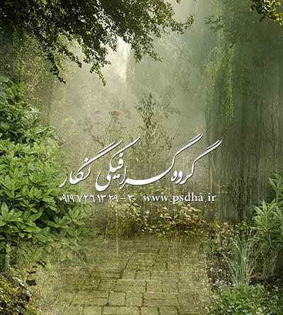 طراحی عکس جنگل