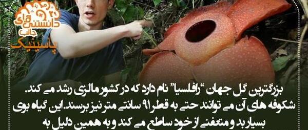 عکس مطالب جالب و دانستنی
