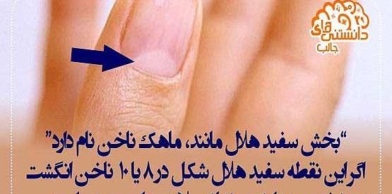 عکس مطالب جالب و دانستنی