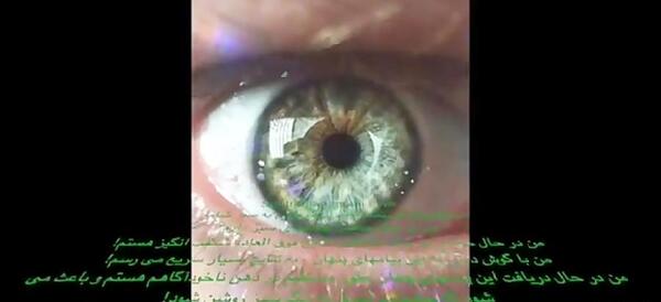 عکس رنگ چشم سبز جنگلی